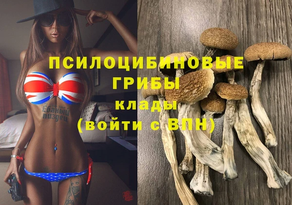 мяу мяу мука Армянск