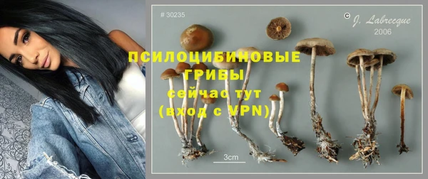 круглые Арсеньев