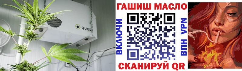 Купить где Бодайбо ТГК вейп с тгк