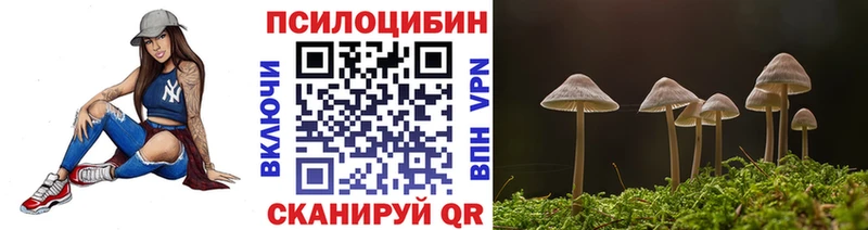 Галлюциногенные грибы Psilocybine cubensis  Купить  Бодайбо 